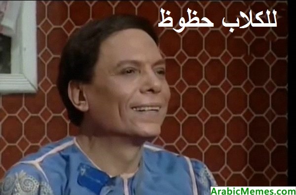 Luck is only for dogs