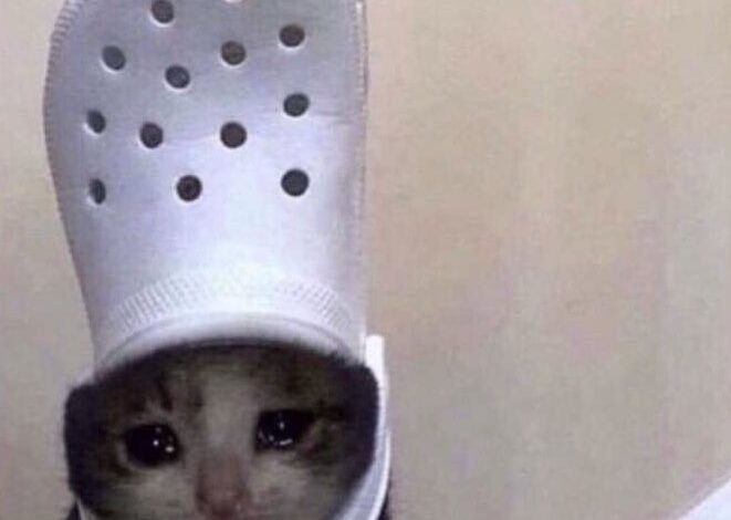 Crocs but make it undercover