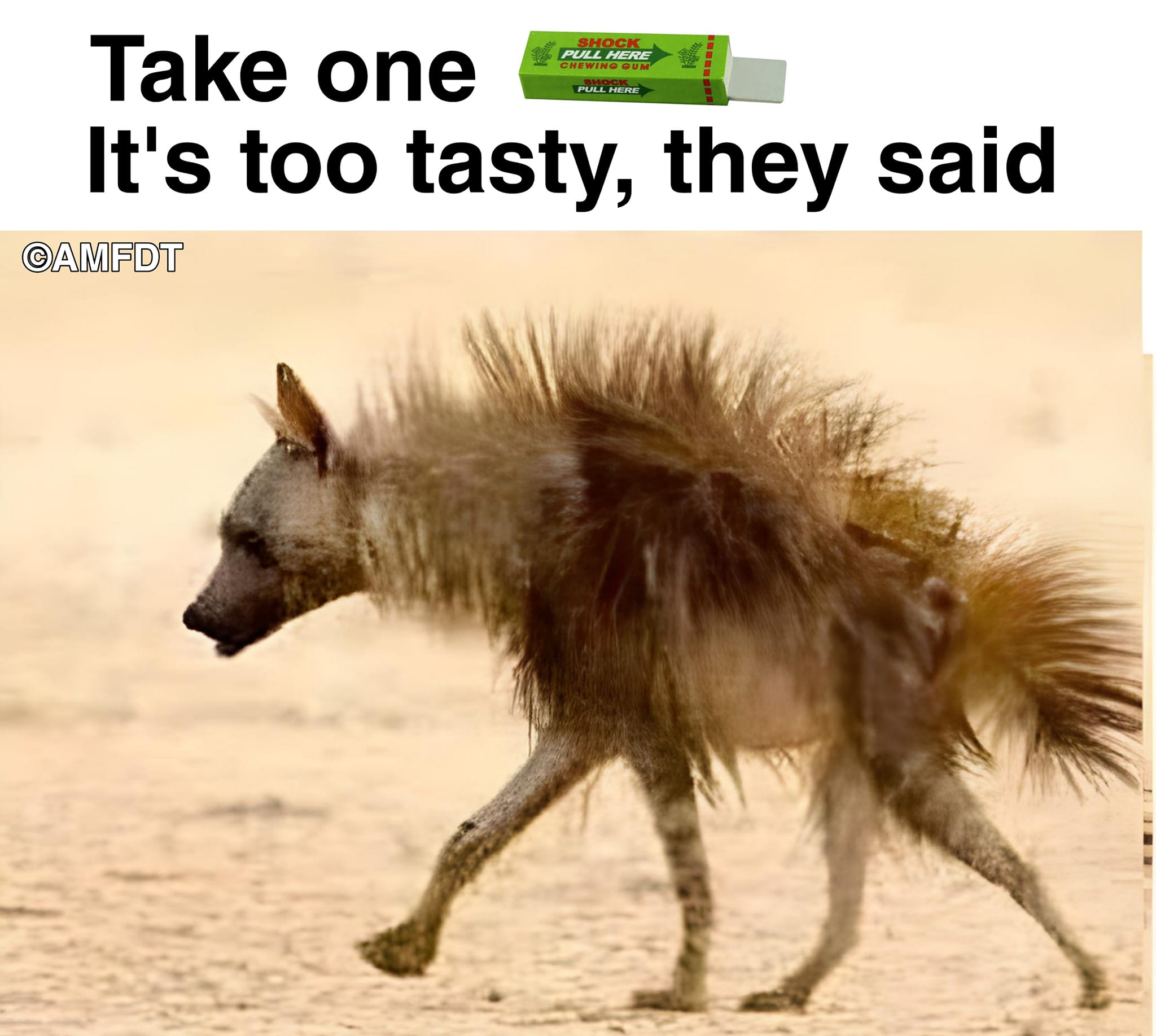 Shock Gum: Instant Regret